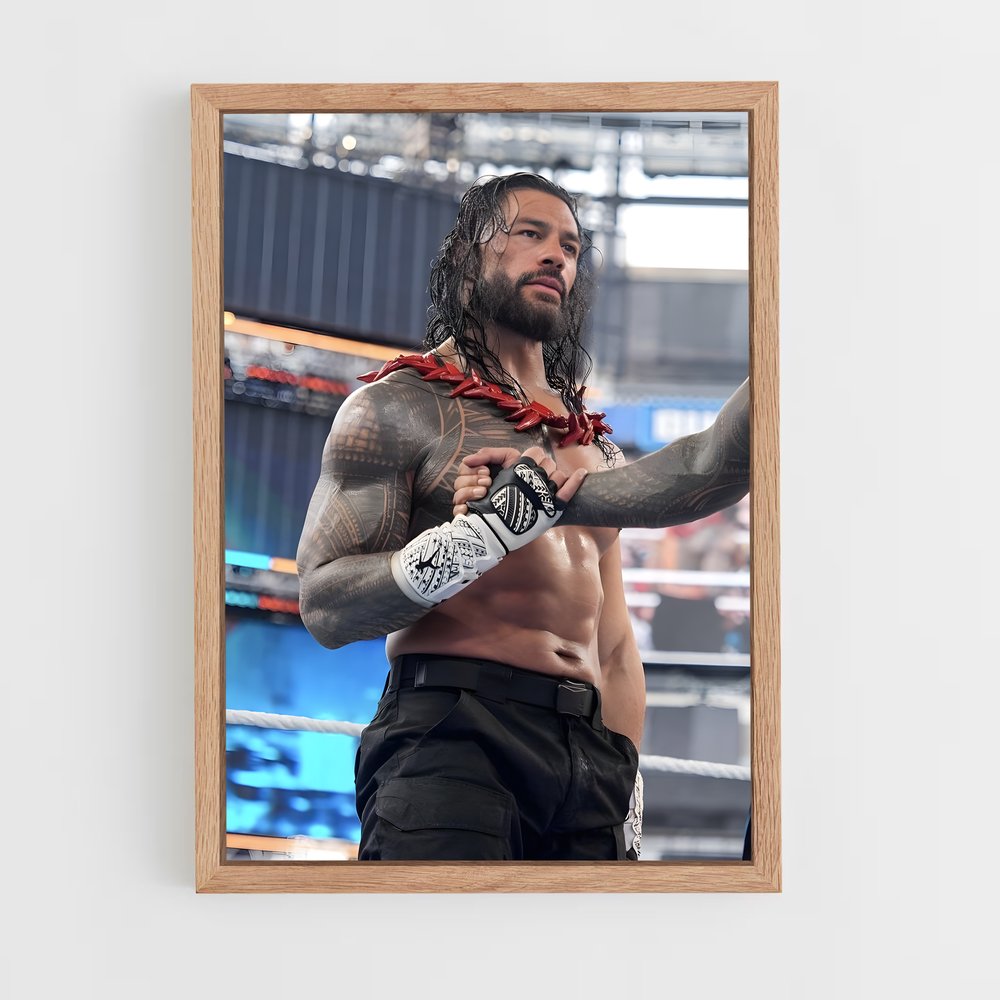Poster Roman de reigns (vue 4)